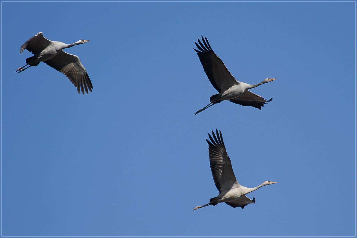 Vorbeiflug