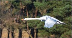 Vorbeiflug