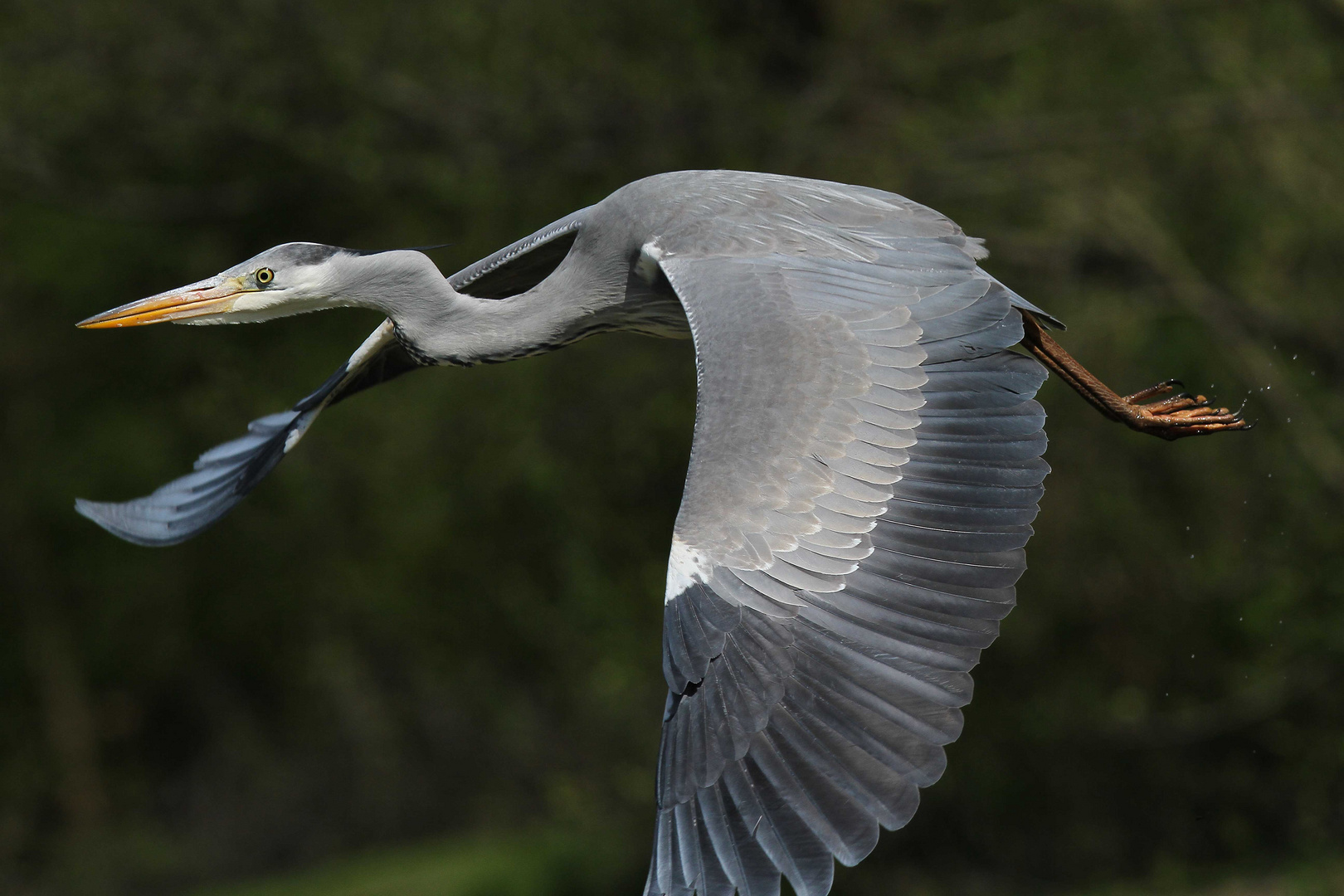 Vorbeiflug