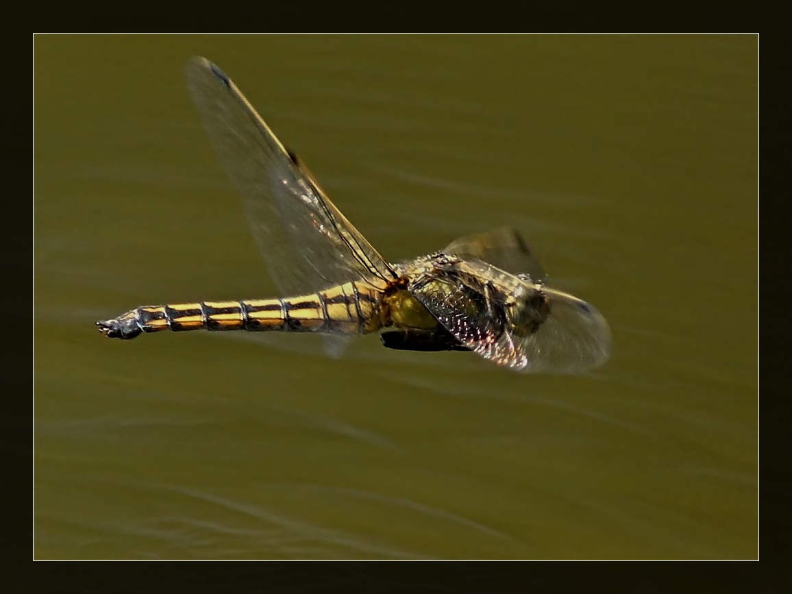 Vorbeiflug