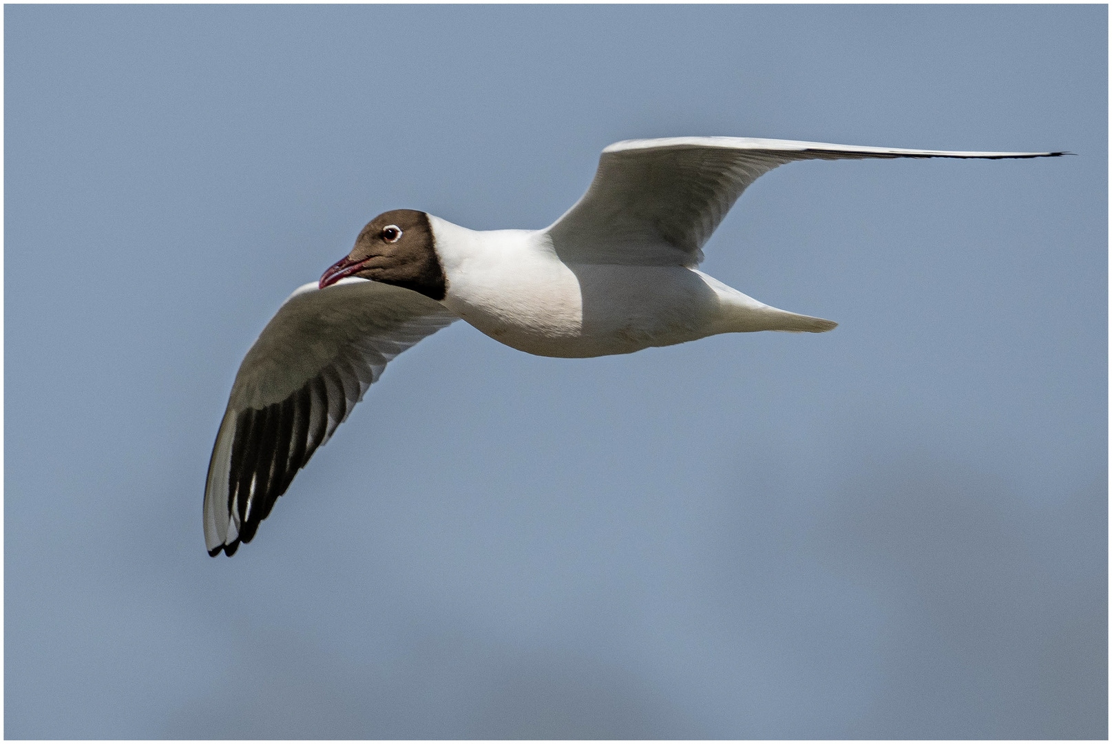 Vorbeiflug
