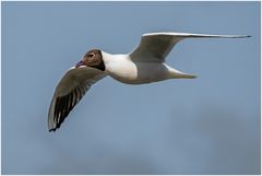 Vorbeiflug