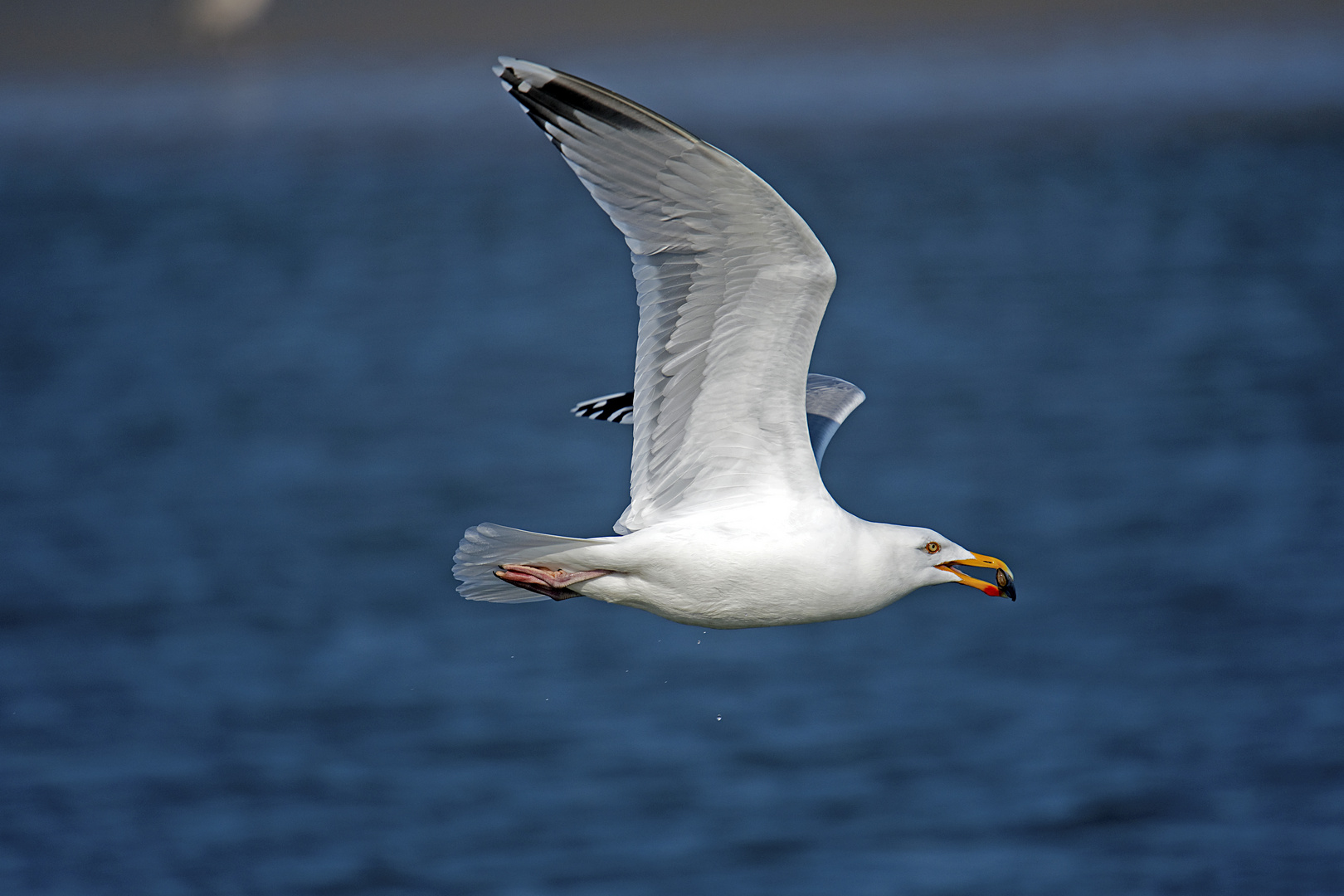 Vorbeiflug