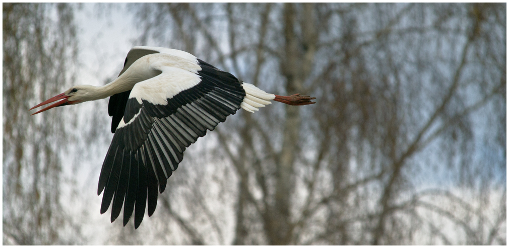 Vorbeiflug