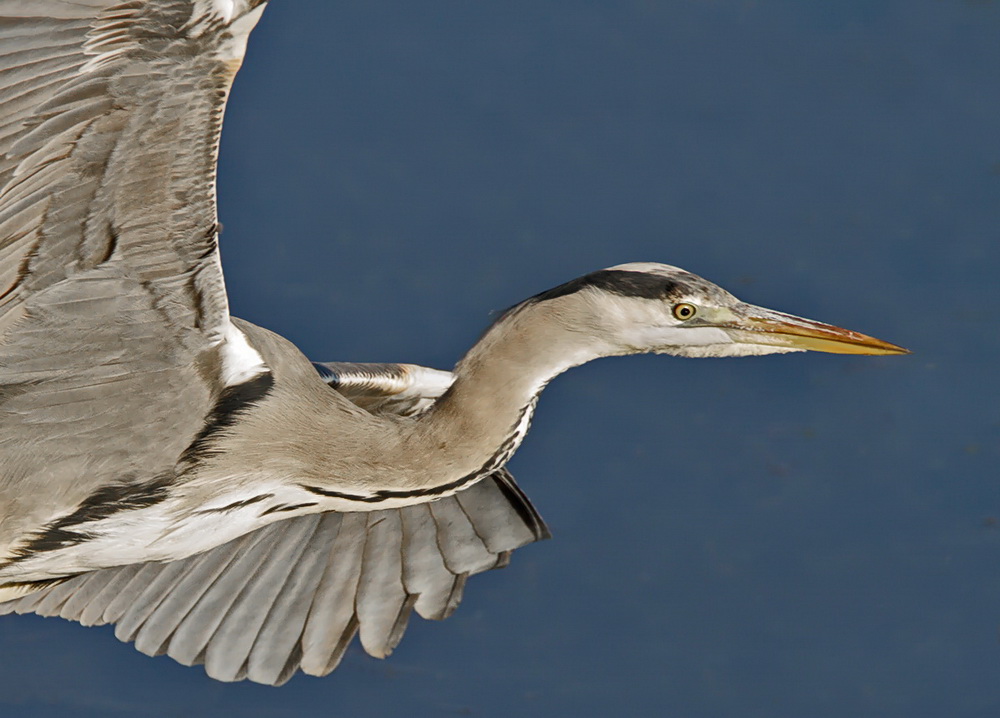 Vorbeiflug