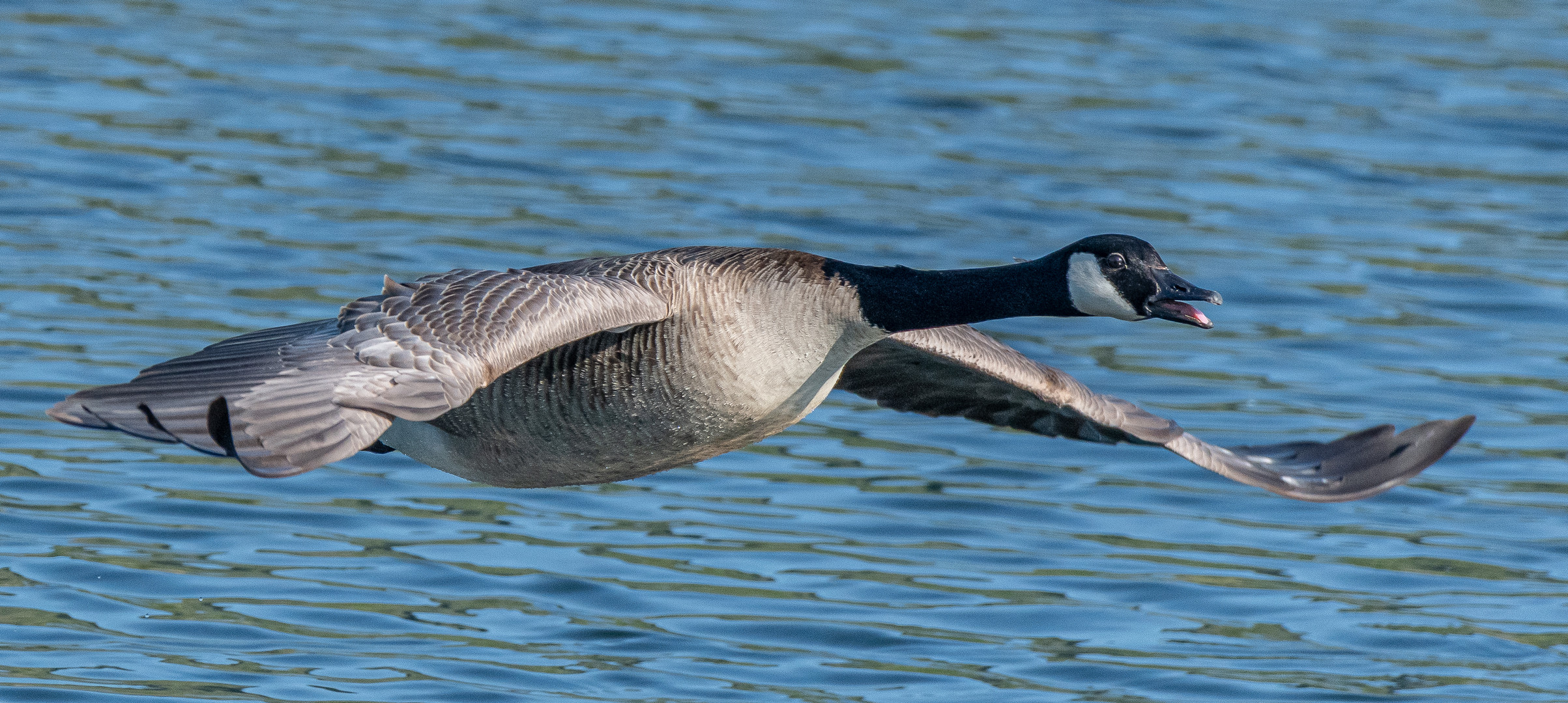 Vorbeiflug