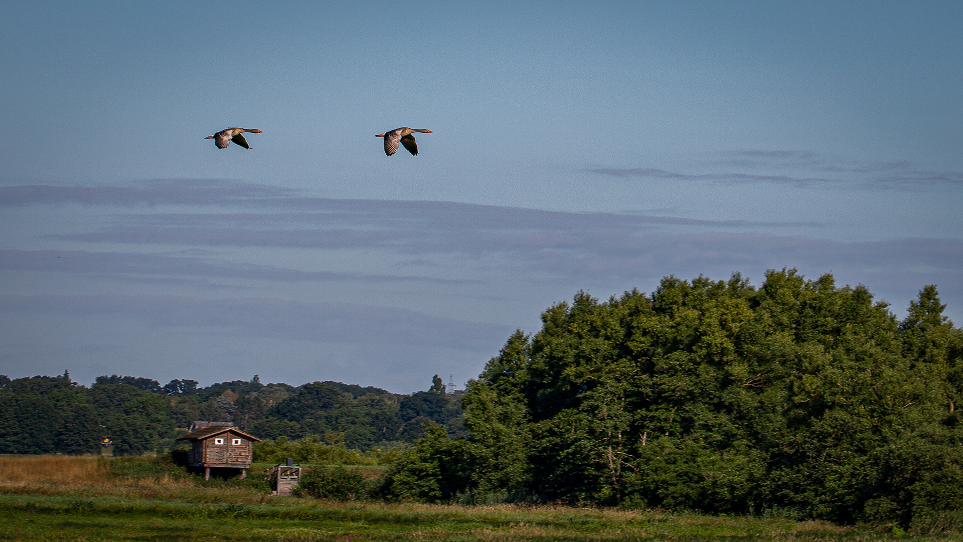 Vorbeiflug