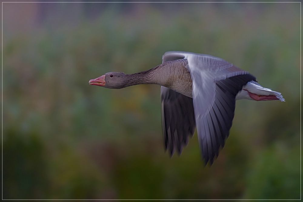 Vorbeiflug