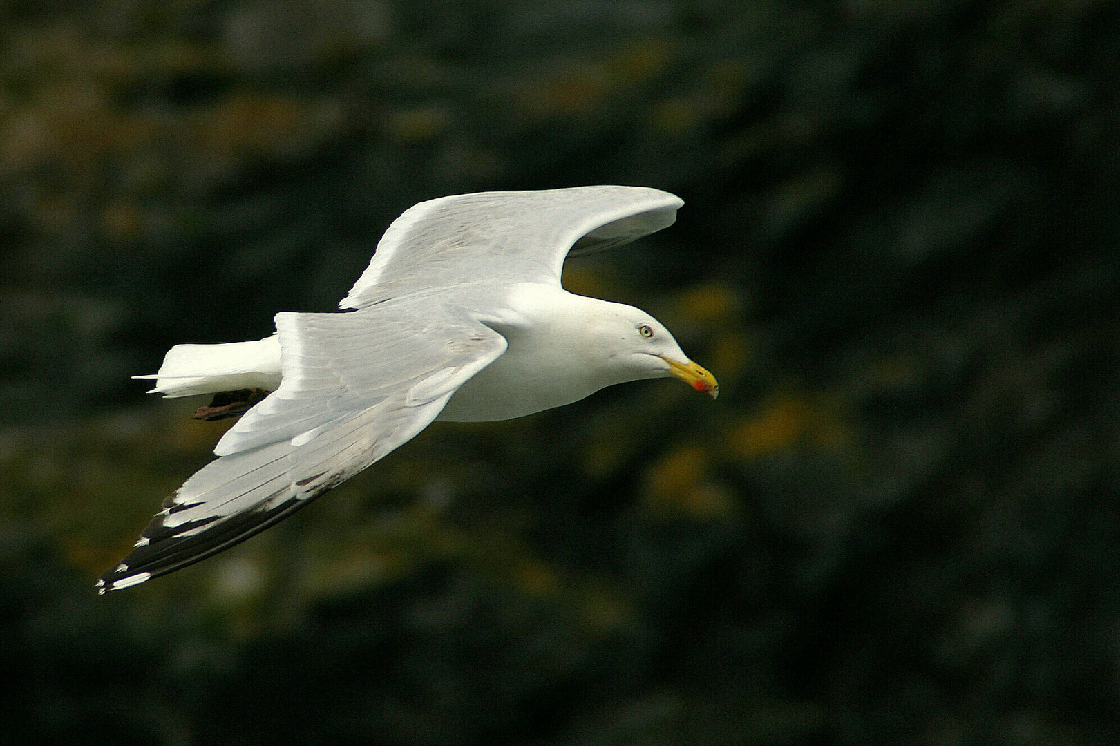 Vorbeiflug