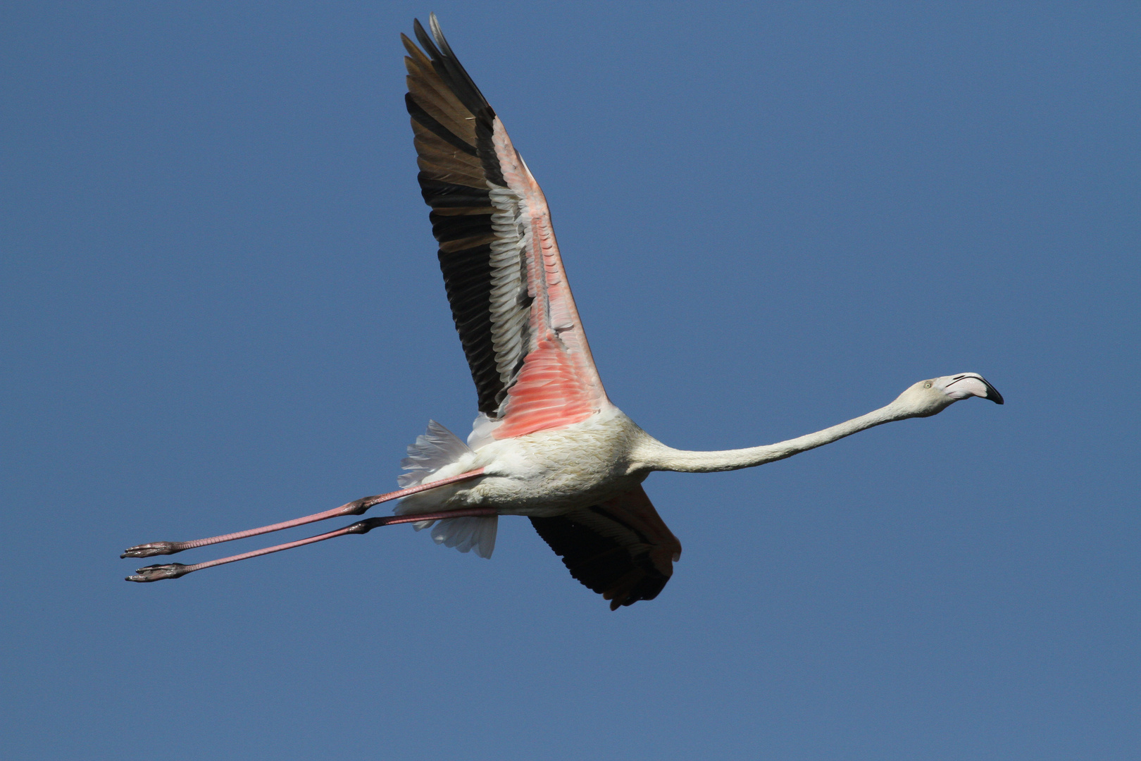 Vorbeiflug