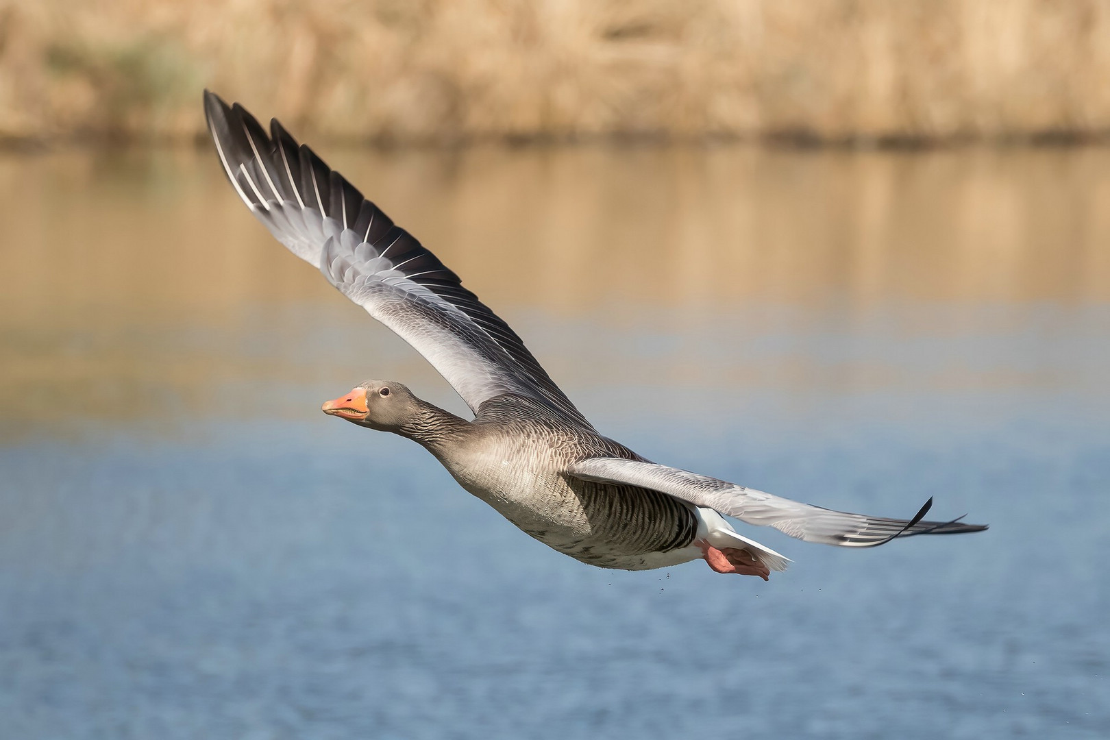 Vorbeiflug