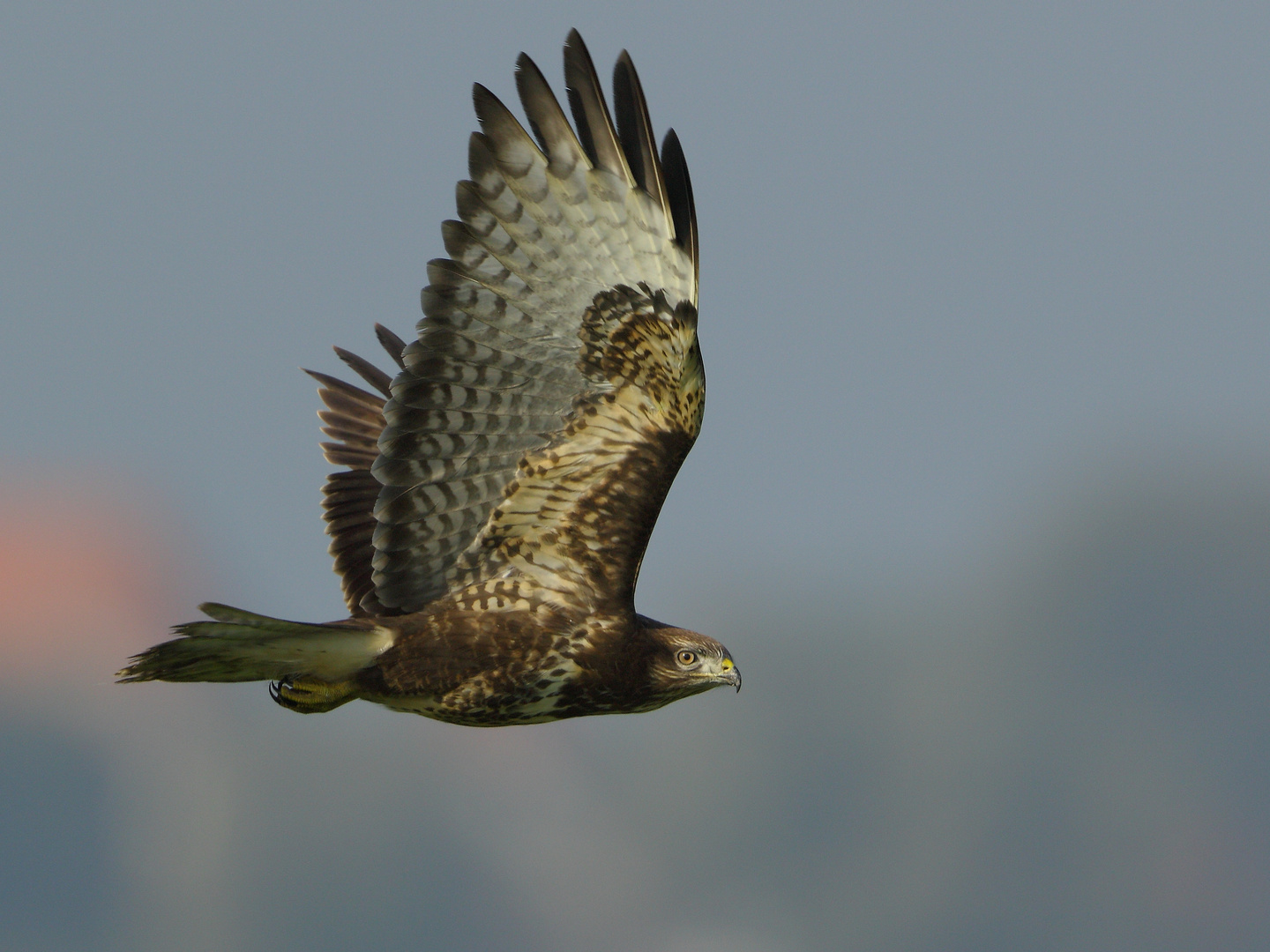 Vorbeiflug 