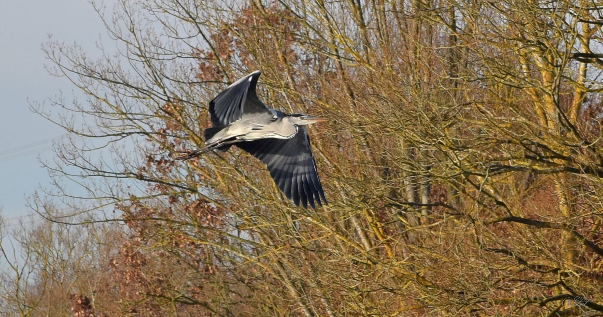 Vorbeiflug