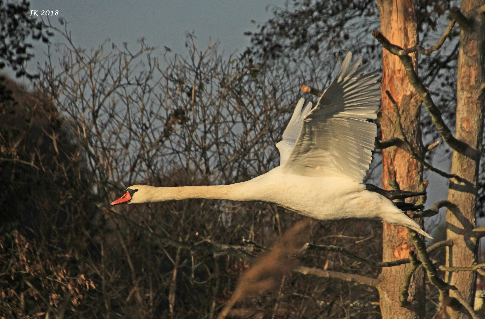 Vorbeiflug