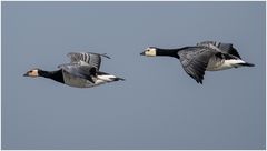 Vorbeiflug