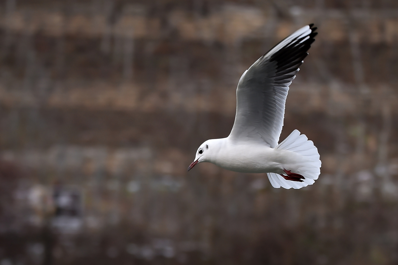 Vorbeiflug