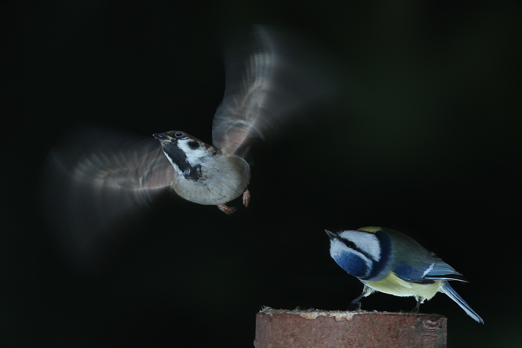 Vorbeiflug