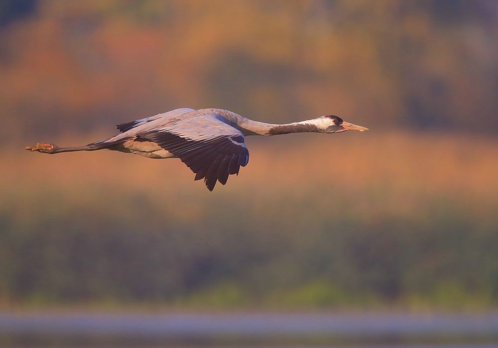 Vorbeiflug