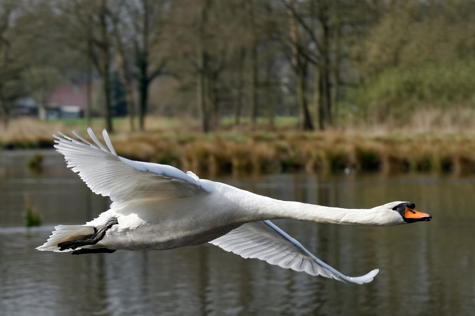 Vorbeiflug