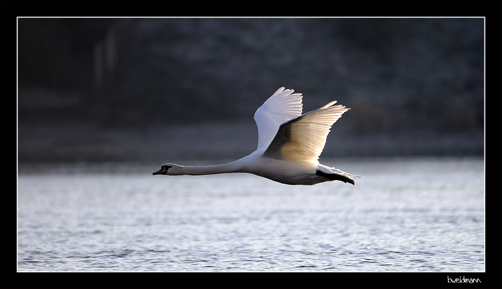 Vorbeiflug