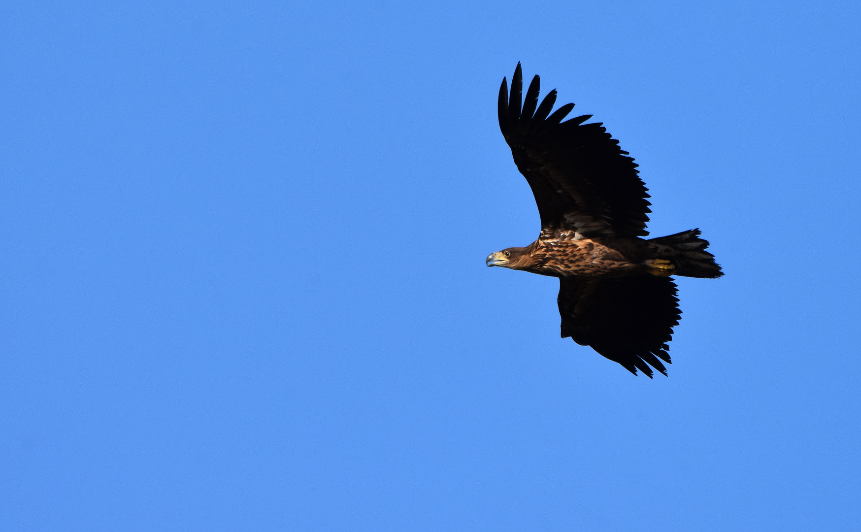 Vorbeiflug