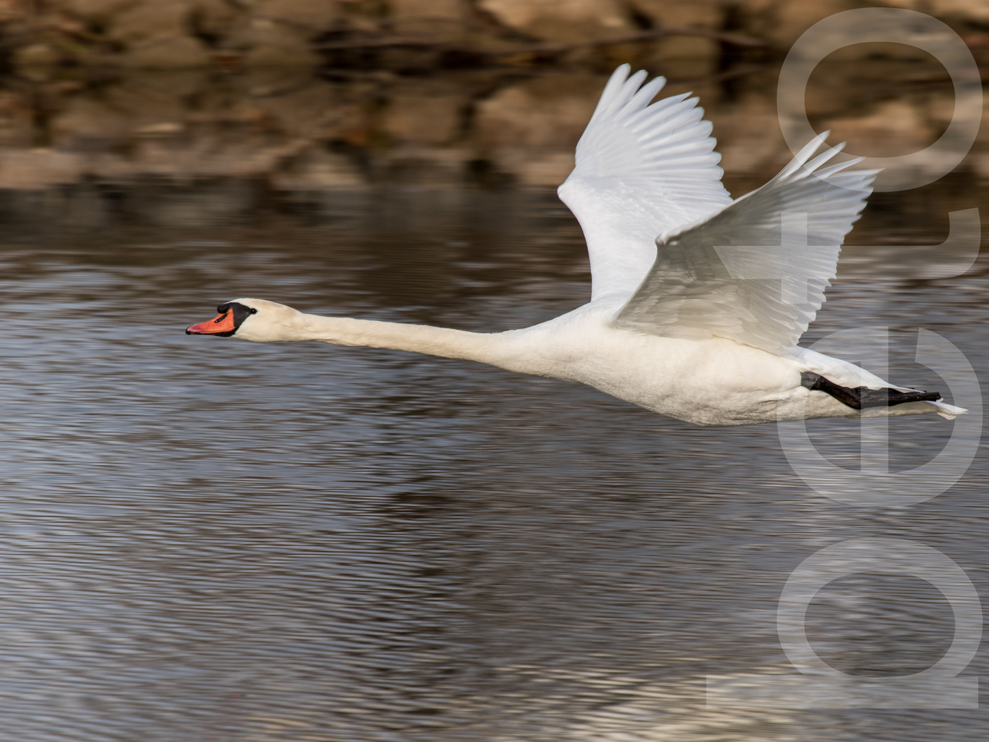 Vorbeiflug