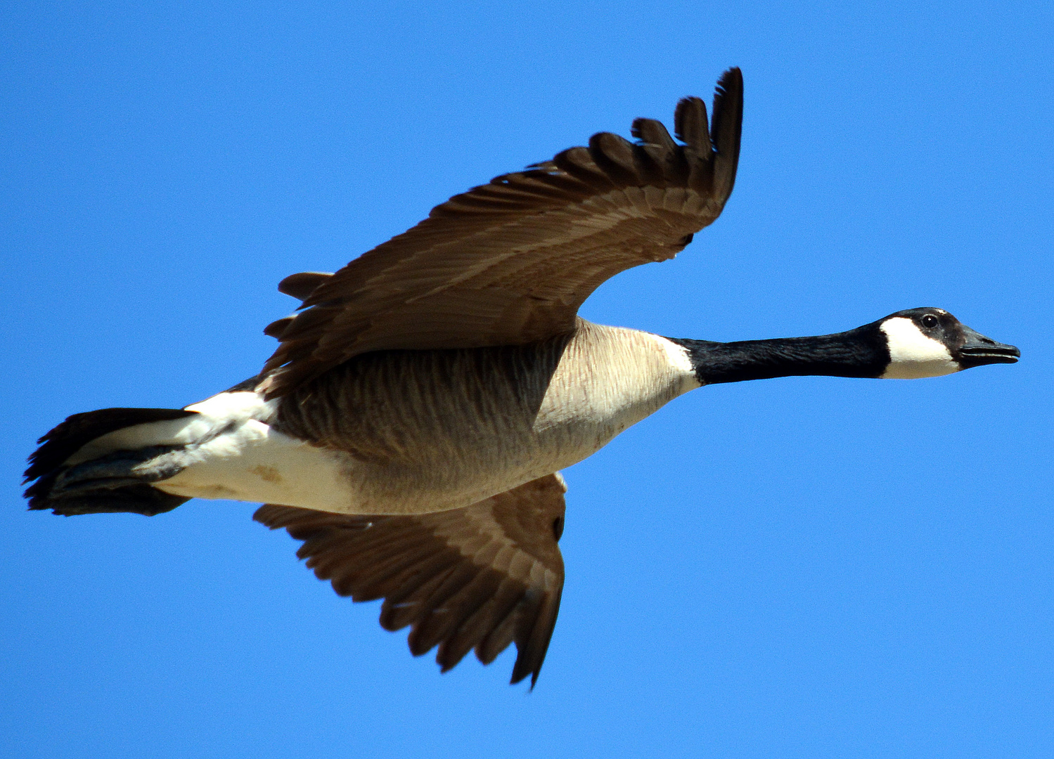 Vorbeiflug