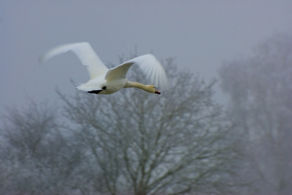 Vorbeiflug