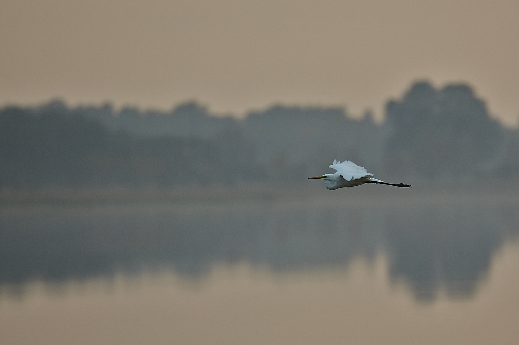 Vorbeiflug