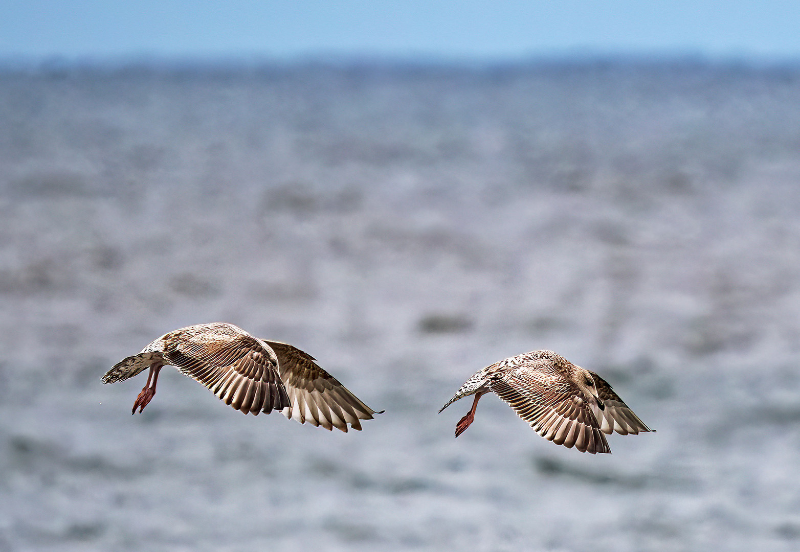 vorbeiflug....