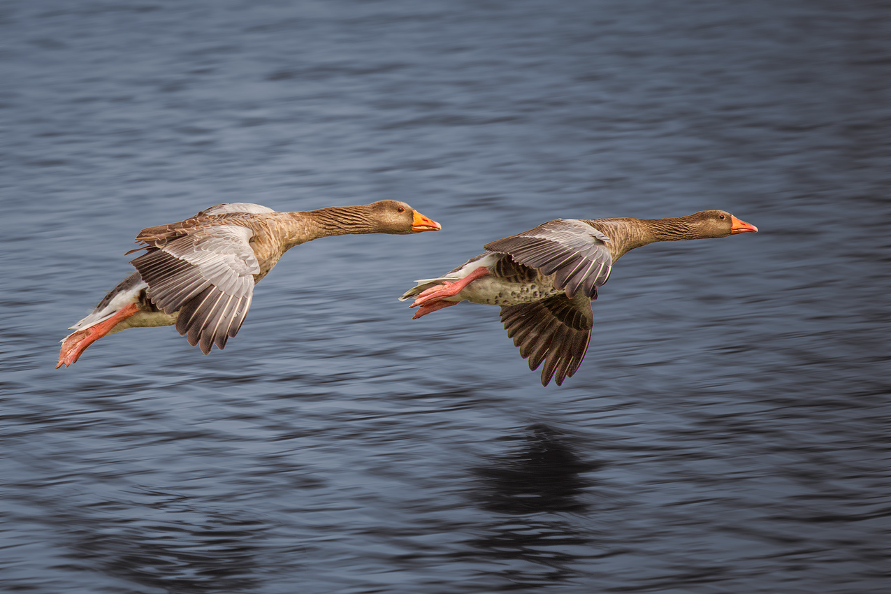 Vorbeiflug