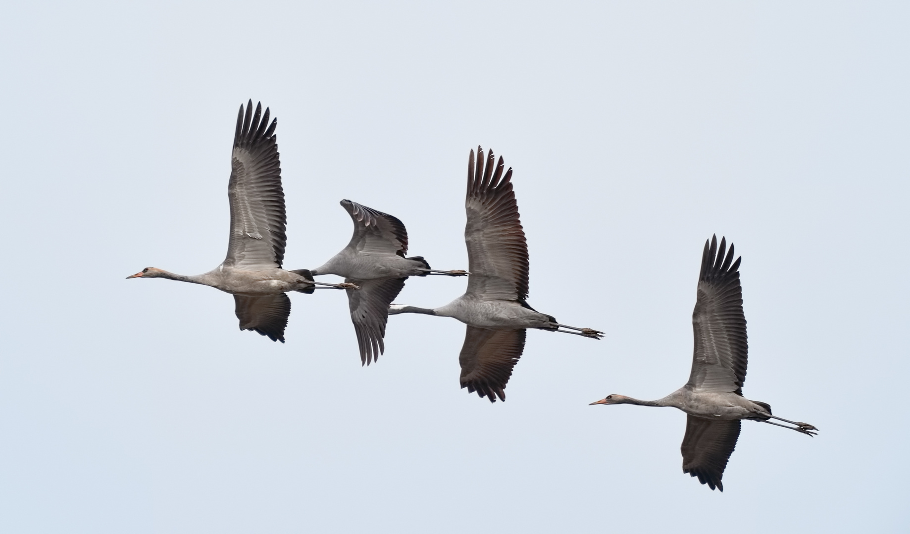 Vorbeiflug