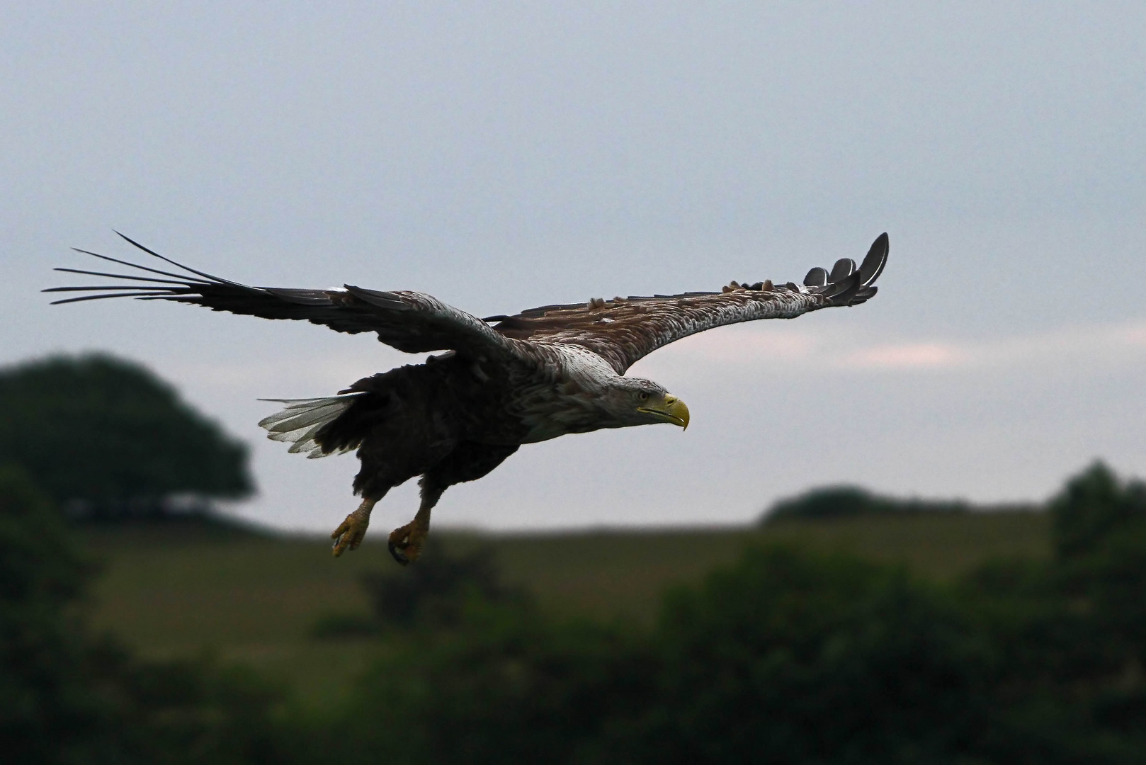 Vorbeiflug