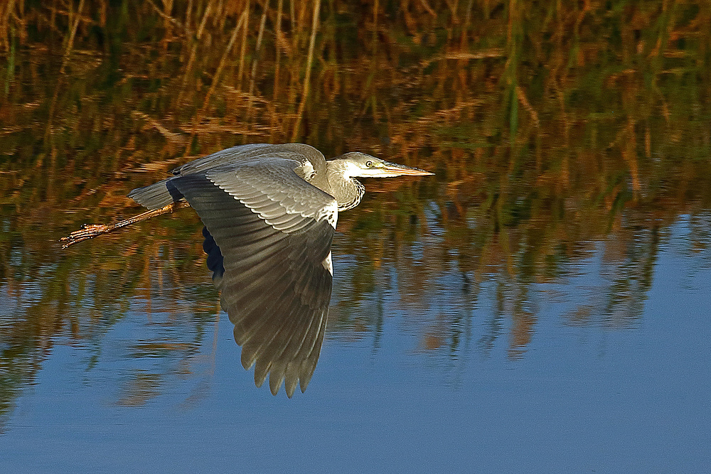 Vorbeiflug