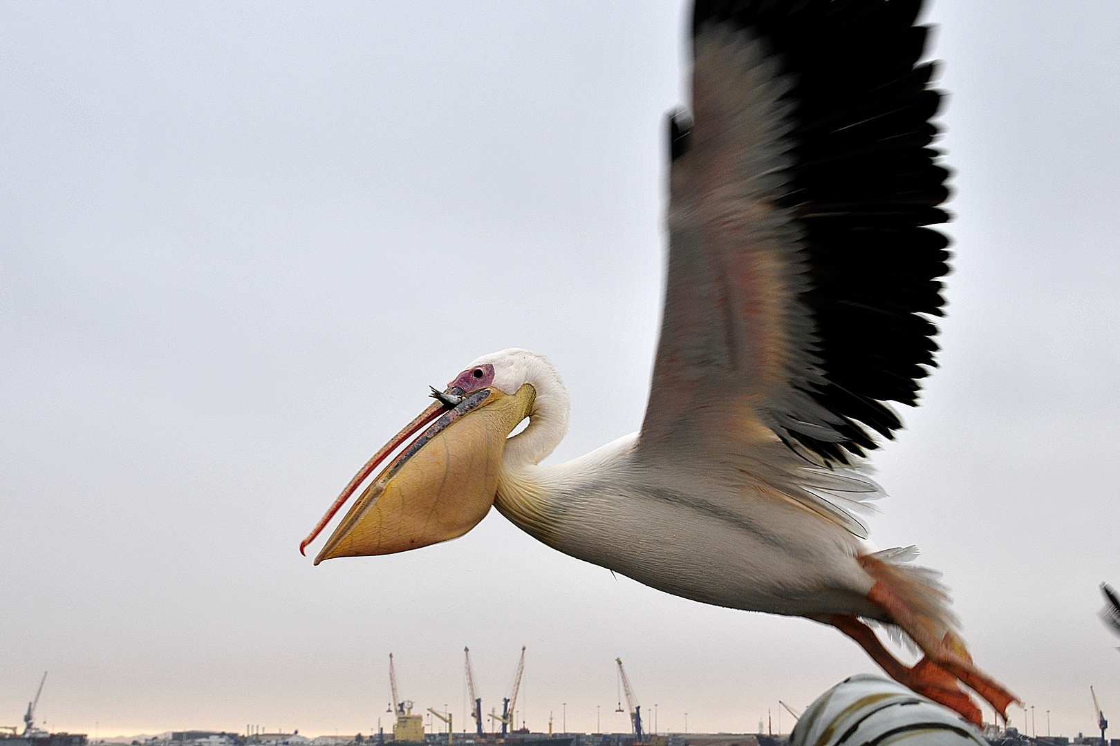 Vorbeiflug.