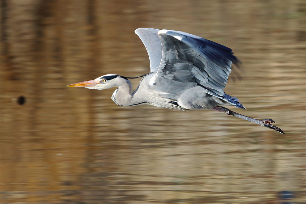 Vorbeiflug