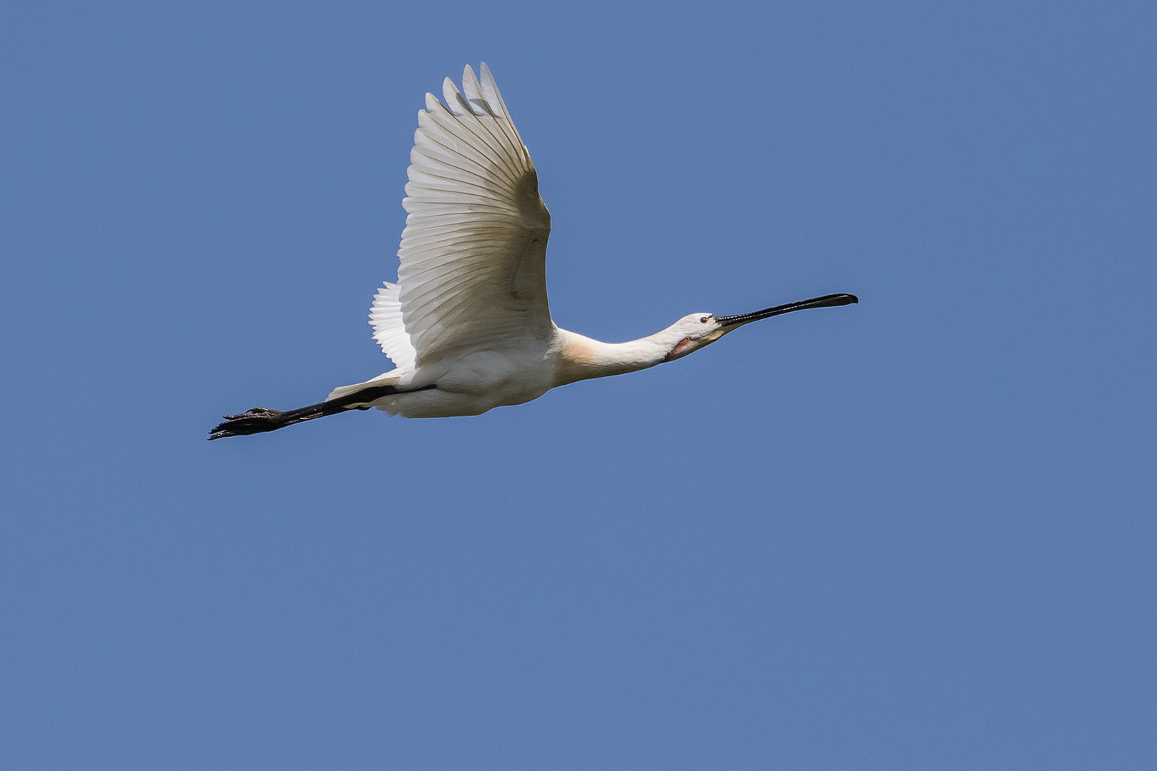 Vorbeiflug