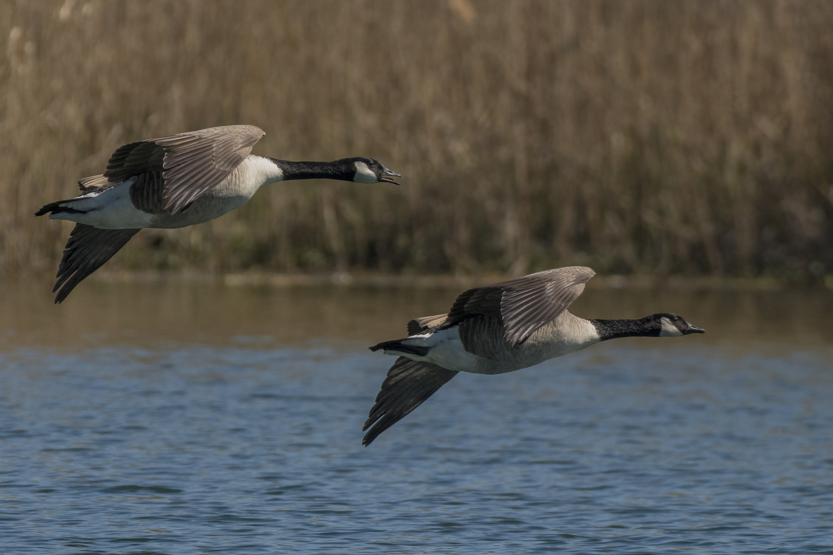 Vorbeiflug