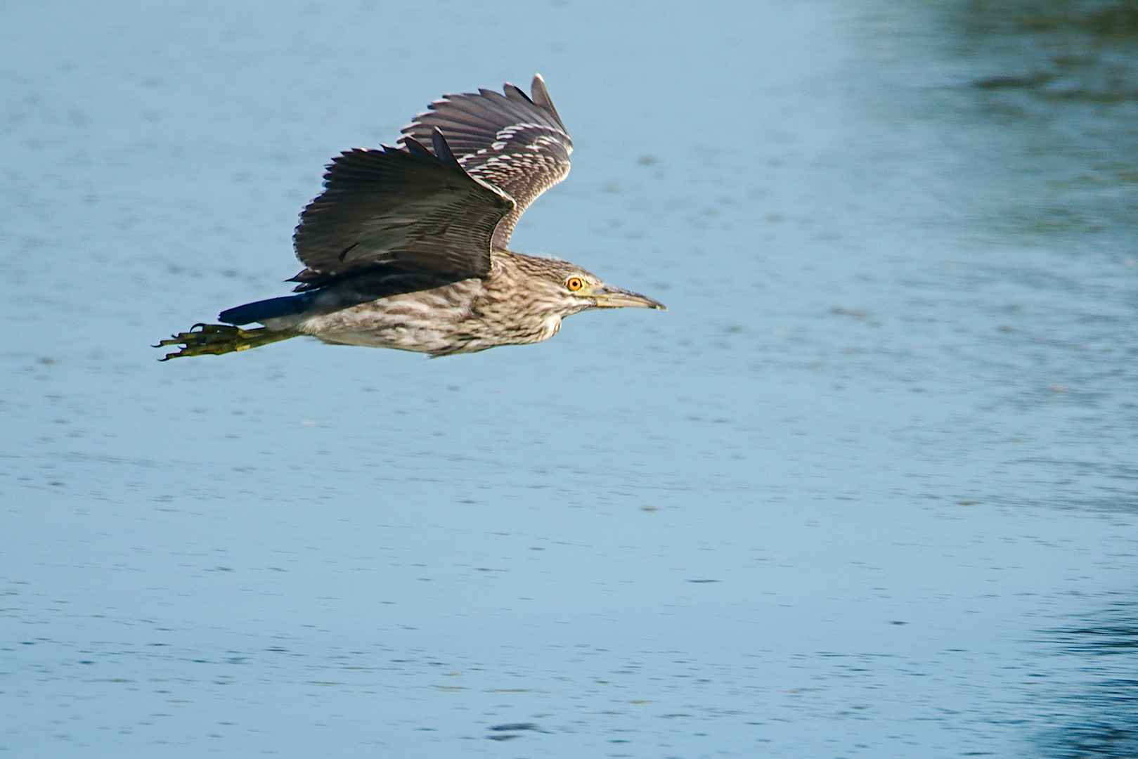 Vorbeiflug