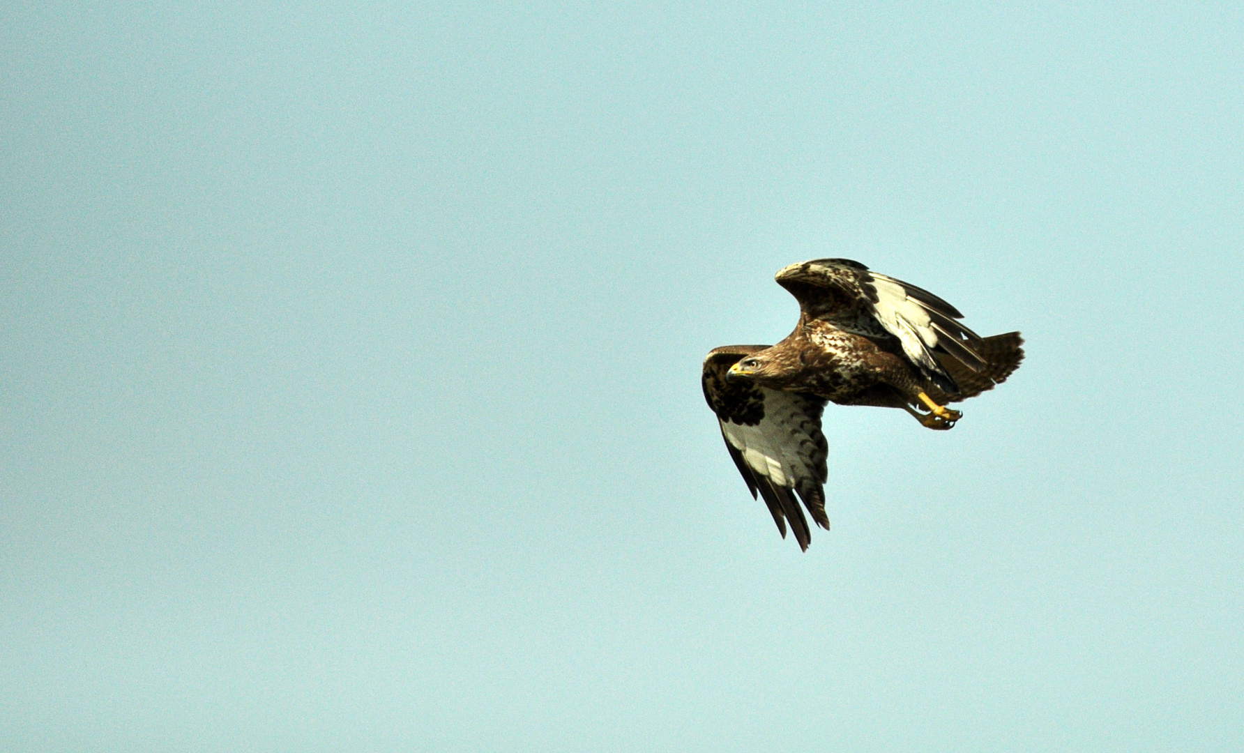 vorbeiflug