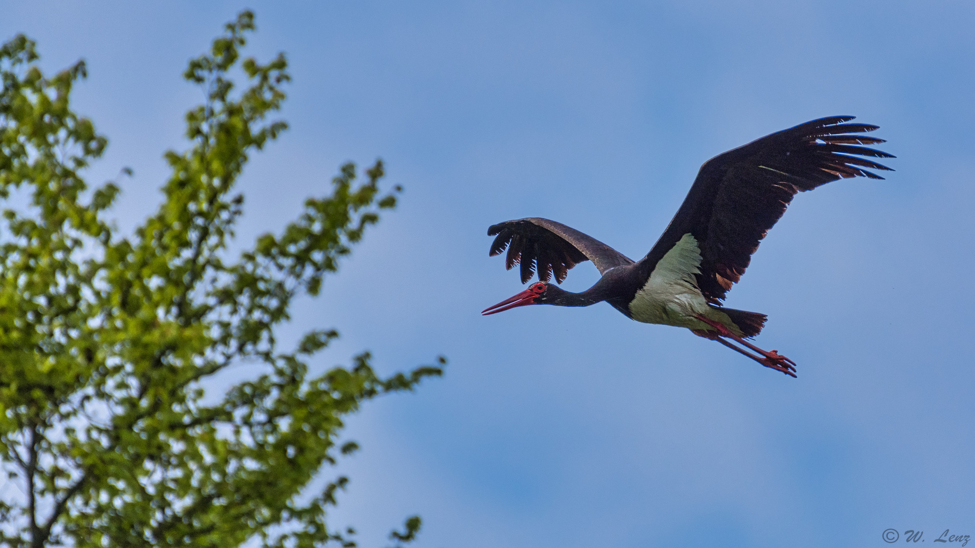 Vorbeiflug