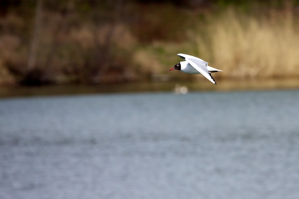 Vorbeiflug