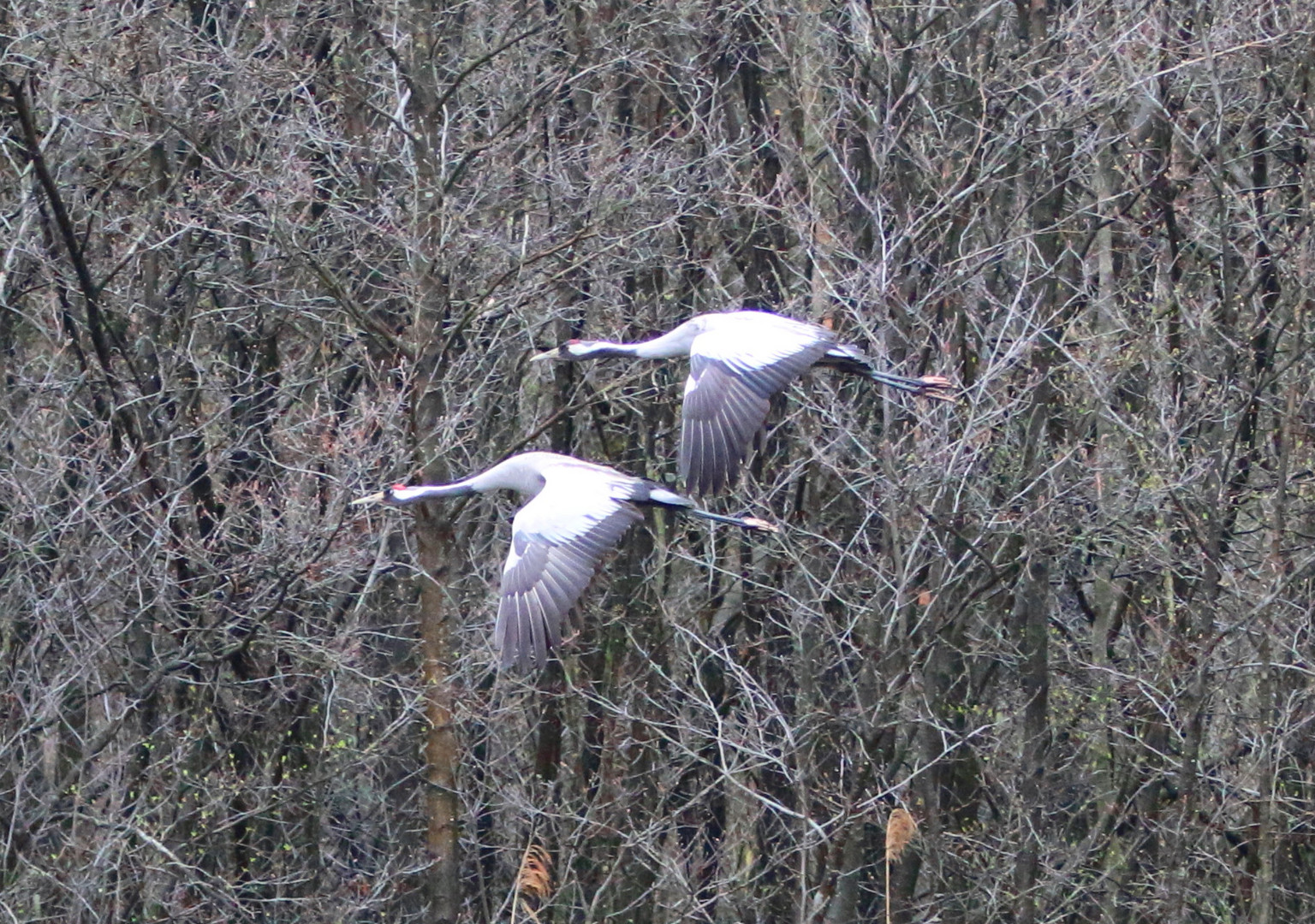 Vorbeiflug