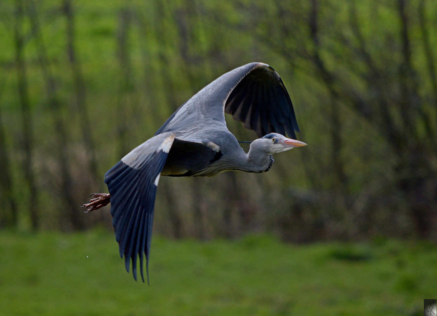 Vorbeiflug