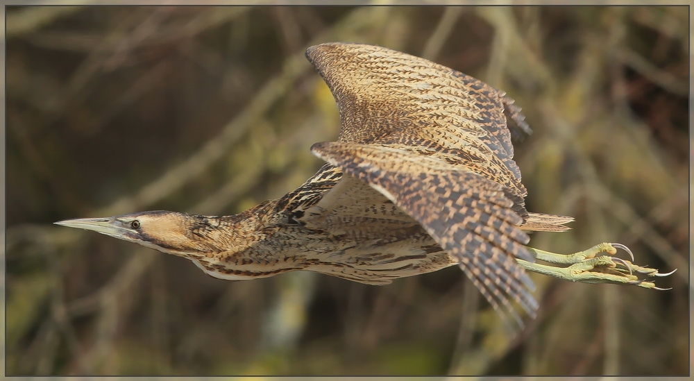 Vorbeiflug