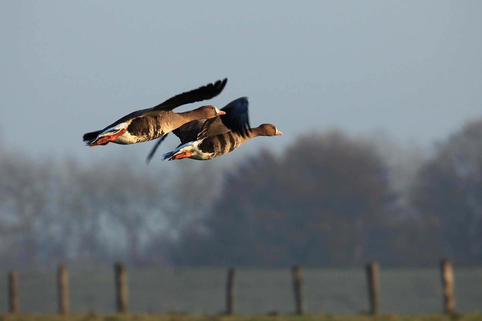 Vorbeiflug