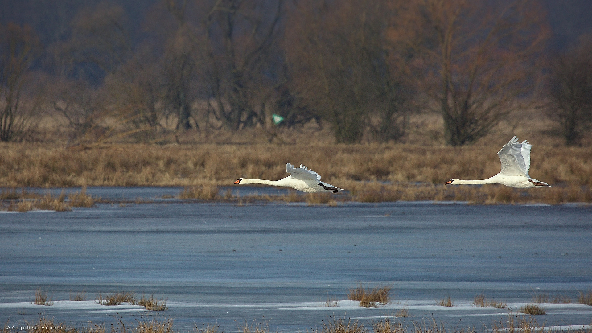 Vorbeiflug