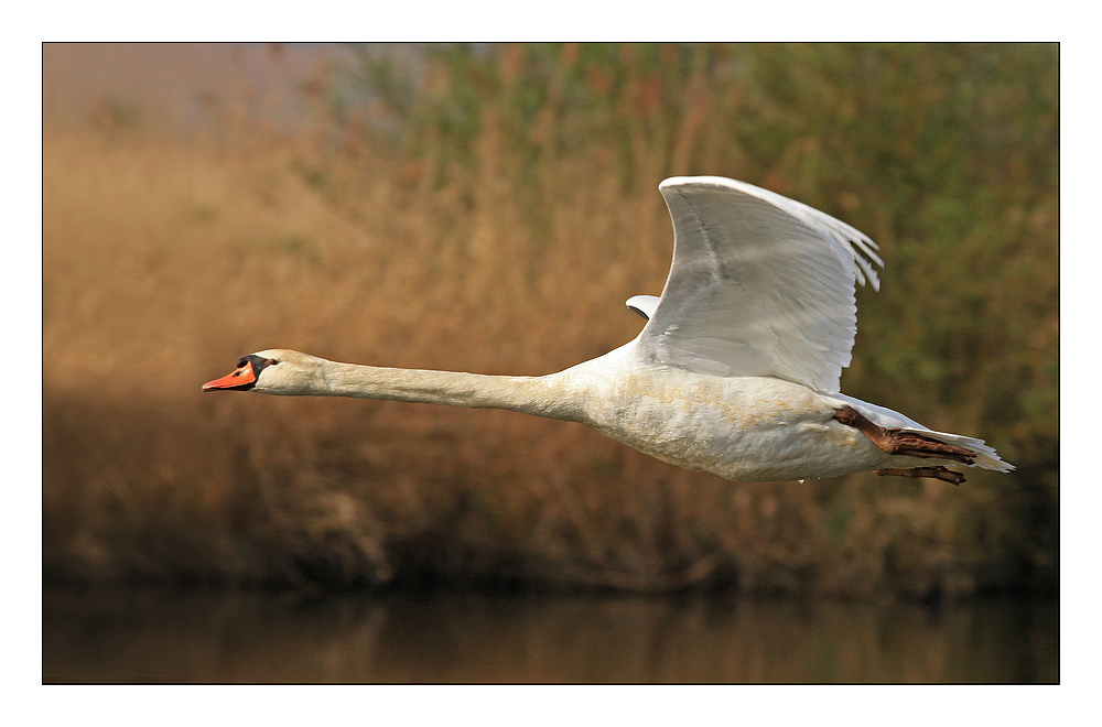 Vorbeiflug