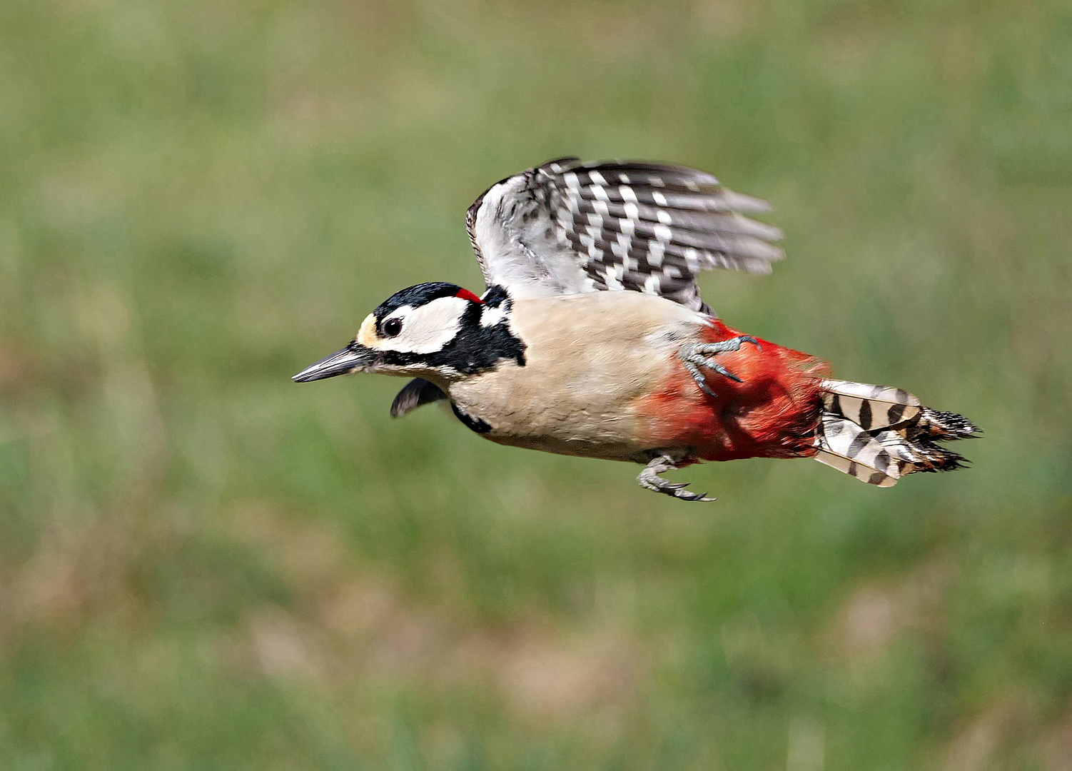 Vorbeiflug