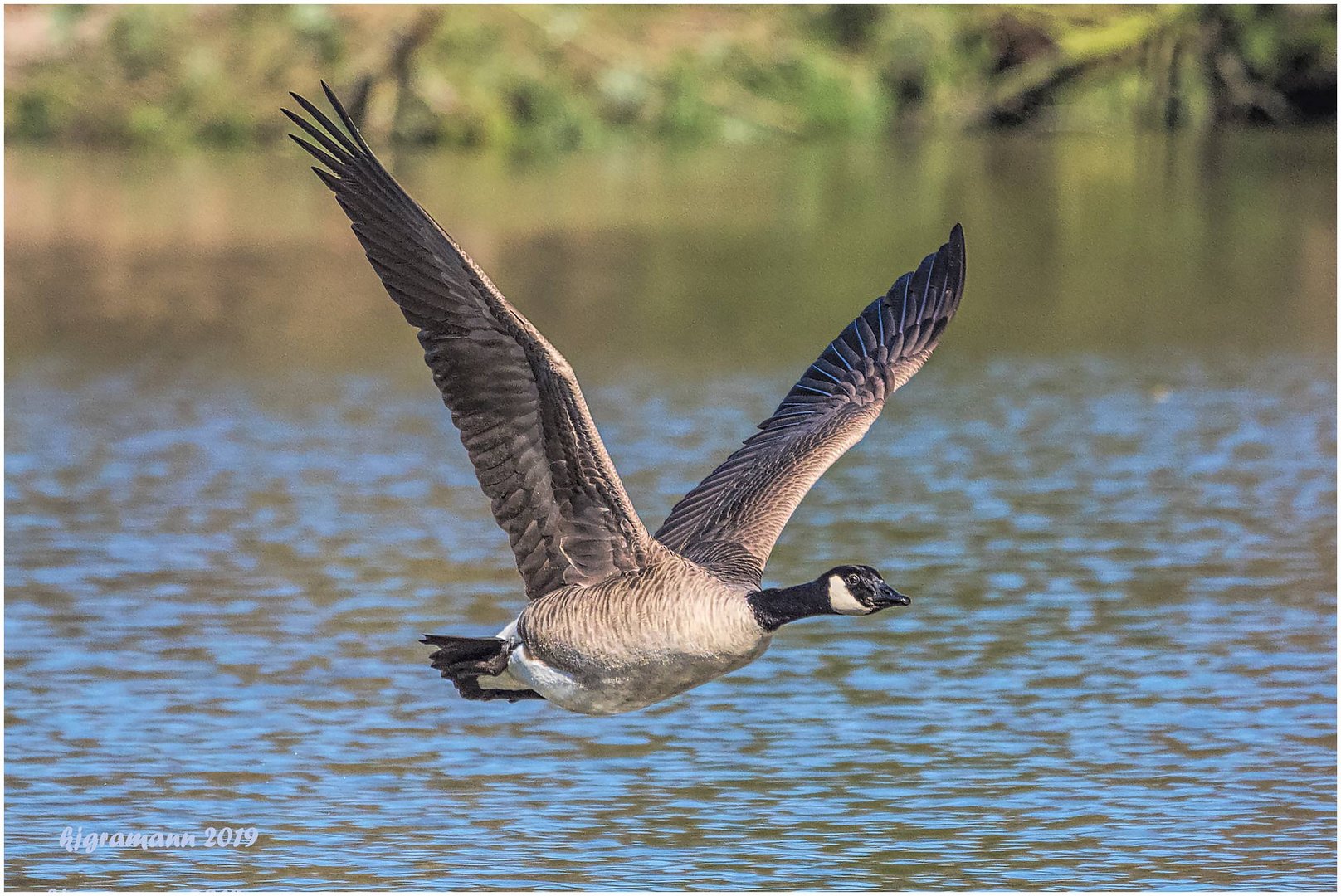 vorbeiflug......